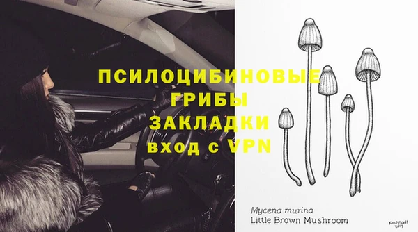 крисы Касимов