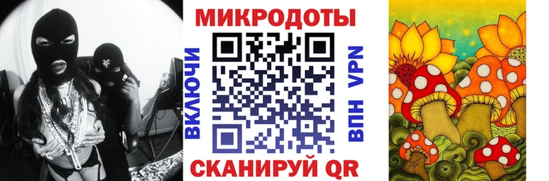 Псилоцибиновые грибы GOLDEN TEACHER  Купить  Белая Холуница 